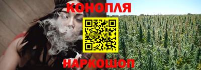 стафф Волгодонск