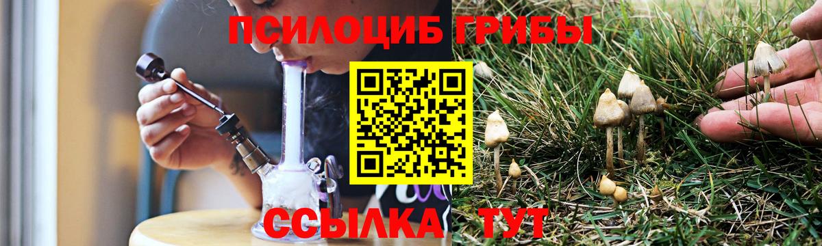 Псилоцибиновые грибы прущие грибы Заринск