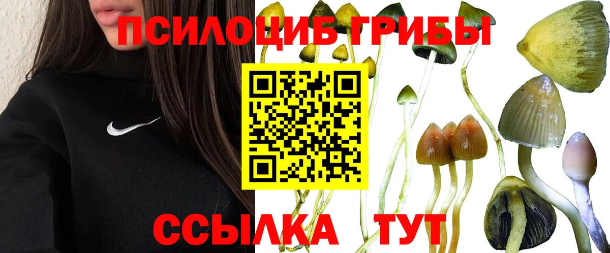 Галлюциногенные грибы прущие грибы  Псилоцибиновые грибы MAGIC MUSHROOMS  Заринск  Вход с VPN 